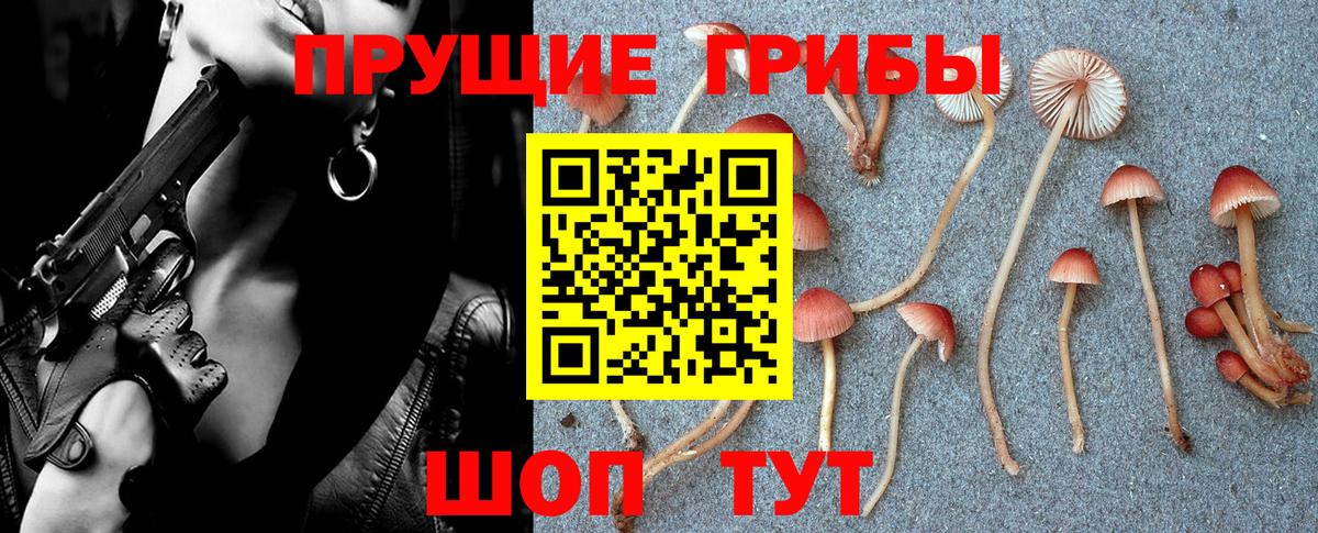 Галлюциногенные грибы MAGIC MUSHROOMS  Вход с VPN  купить   Псилоцибиновые грибы Psilocybe  Краснокамск 
